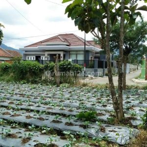 , Beranda, Jual Beli Rumah Khusus Wilayah Lembang dan Sekitarnya